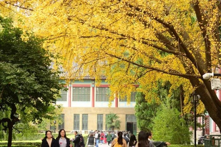 2024最新！中國(guó)高校數(shù)量Top10城市大揭秘